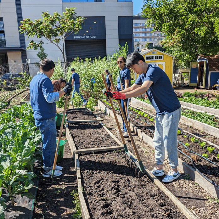 Gardening Urban Farm Volunteering Photo